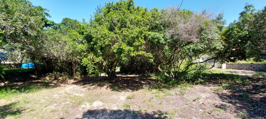 Commercial Property for Sale in Gamtoos Mouth Eastern Cape